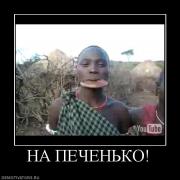 Прикрепленное изображение: 896281_na_pechenko.jpg