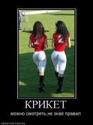 Прикрепленное изображение: 346809_kriket.jpg