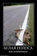 Прикрепленное изображение: 850260_belaya_polosa.jpg