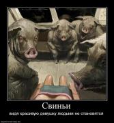 Прикрепленное изображение: 24230_svini.jpg