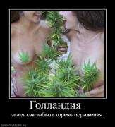 Прикрепленное изображение: 393433_gollandiya_.jpg