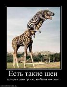 Прикрепленное изображение: 33591_est_takie_shei.jpg