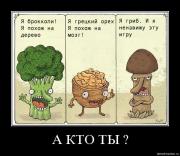 Прикрепленное изображение: 5lxk8hn4bn29.jpg