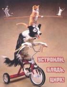 Прикрепленное изображение: x_b3fa3c5e.jpg