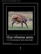 Прикрепленное изображение: 7.jpg