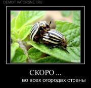 Прикрепленное изображение: 1.jpg