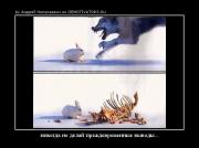 Прикрепленное изображение: 1991277714409.jpg