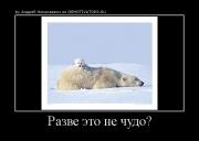 Прикрепленное изображение: 3211277714491.jpg