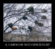 Прикрепленное изображение: ghtgqlg600hj8.jpg