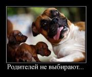 Прикрепленное изображение: kmvaihrj6ct4t.jpg