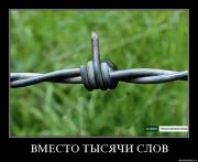 Прикрепленное изображение: npyodyewxgkot.jpg