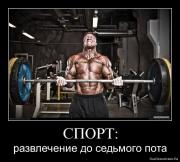 Прикрепленное изображение: 1263932869_1v4bkg2g5cql.jpg