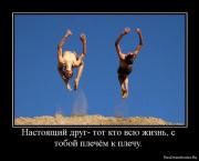 Прикрепленное изображение: 1269716763_906361_nastoyaschij_drug_tot_kto_vsyu_zhizn_s_toboj_plechyom_k_plechu.jpg