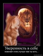 Прикрепленное изображение: 1271000949_623829_uverennost_v_sebe.jpg