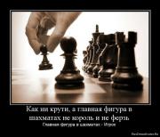 Прикрепленное изображение: 1271272489_958388_kak_ni_kruti_a_glavnaya_figura_v_shahmatah_ne_korol_i_ne_ferz.jpg