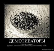 Прикрепленное изображение: 1272438380_7991270816491.jpg