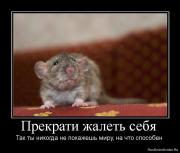 Прикрепленное изображение: 1275649455_873167_prekrati_zhalet_sebya.jpg