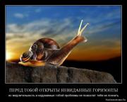 Прикрепленное изображение: 1278316331_xlh4nxw6wbbd.jpg