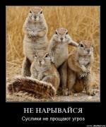 Прикрепленное изображение: 68.jpg