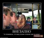 Прикрепленное изображение: 201c921e9397a71698f946b9e7a25b26.jpg