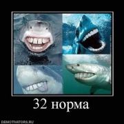 Прикрепленное изображение: 600e38bfd100523d9d83a4ea0a0214ae_55a48a7c8d1d99bf0e4517d7f8a07963.jpg