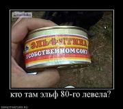Прикрепленное изображение: 713492_kto_tam_elf_80_go_levela.jpg