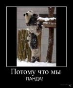 Прикрепленное изображение: 986939.jpg