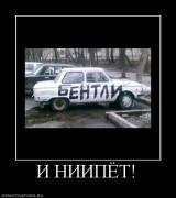 Прикрепленное изображение: 1249463347_766268_i_niipyot.jpg