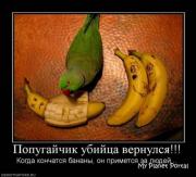 Прикрепленное изображение: 1267723776_x_a3a4bf7b.jpg