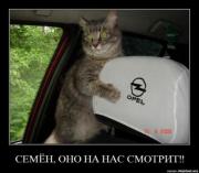 Прикрепленное изображение: a6aaf7b01fcc.jpg