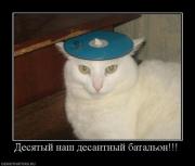 Прикрепленное изображение: f_11978_1_268213757_7.jpg