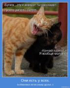 Прикрепленное изображение: motivator_2591.jpg