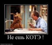 Прикрепленное изображение: x_3c17370c.jpg