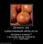 Прикрепленное изображение: 785899_dumaete_luk_edinstvennyij_ovosch_iz_za_kotrogo_plachut.jpg