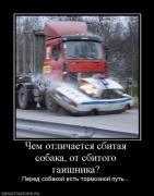 Прикрепленное изображение: 252943_chem_otlichaetsya_sbitaya_sobaka_ot_sbitogo_gaishnika.jpg