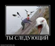 Прикрепленное изображение: 294288_tyi_sleduyuschij.jpg