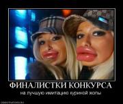 Прикрепленное изображение: 239217_finalistki_konkursa.jpg