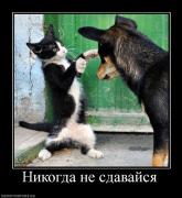 Прикрепленное изображение: 94976_nikogda_ne_sdavajsya.jpg