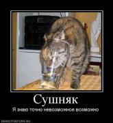 Прикрепленное изображение: 96929_sushnyak.jpg