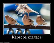 Прикрепленное изображение: 382670_karera_udalas.jpg