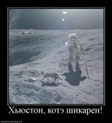 Прикрепленное изображение: 571183_hyuston_kote_shikaren.jpg