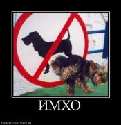 Прикрепленное изображение: 527838_imho.jpg