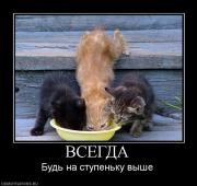 Прикрепленное изображение: 767614_vsegda.jpg