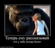 Прикрепленное изображение: 841717_teper_emu_rasskazyivaj.jpg