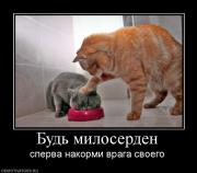 Прикрепленное изображение: 896170_bud_miloserden.jpg