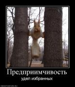 Прикрепленное изображение: 930676_predpriimchivost.jpg