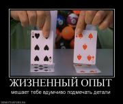 Прикрепленное изображение: 689474_zhiznennyij_opyit.jpg