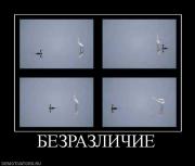 Прикрепленное изображение: 775261_bezrazlichie.jpg