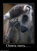 Прикрепленное изображение: 844013_opyat_pit.jpg