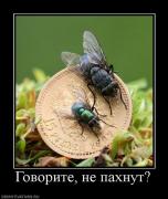 Прикрепленное изображение: 296584_govorite_ne_pahnut.jpg